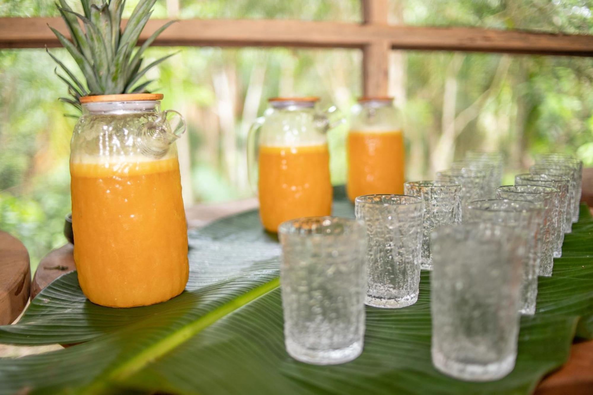 Awaken Amazonian Healing Resort All Inclusive Iquitos Ngoại thất bức ảnh