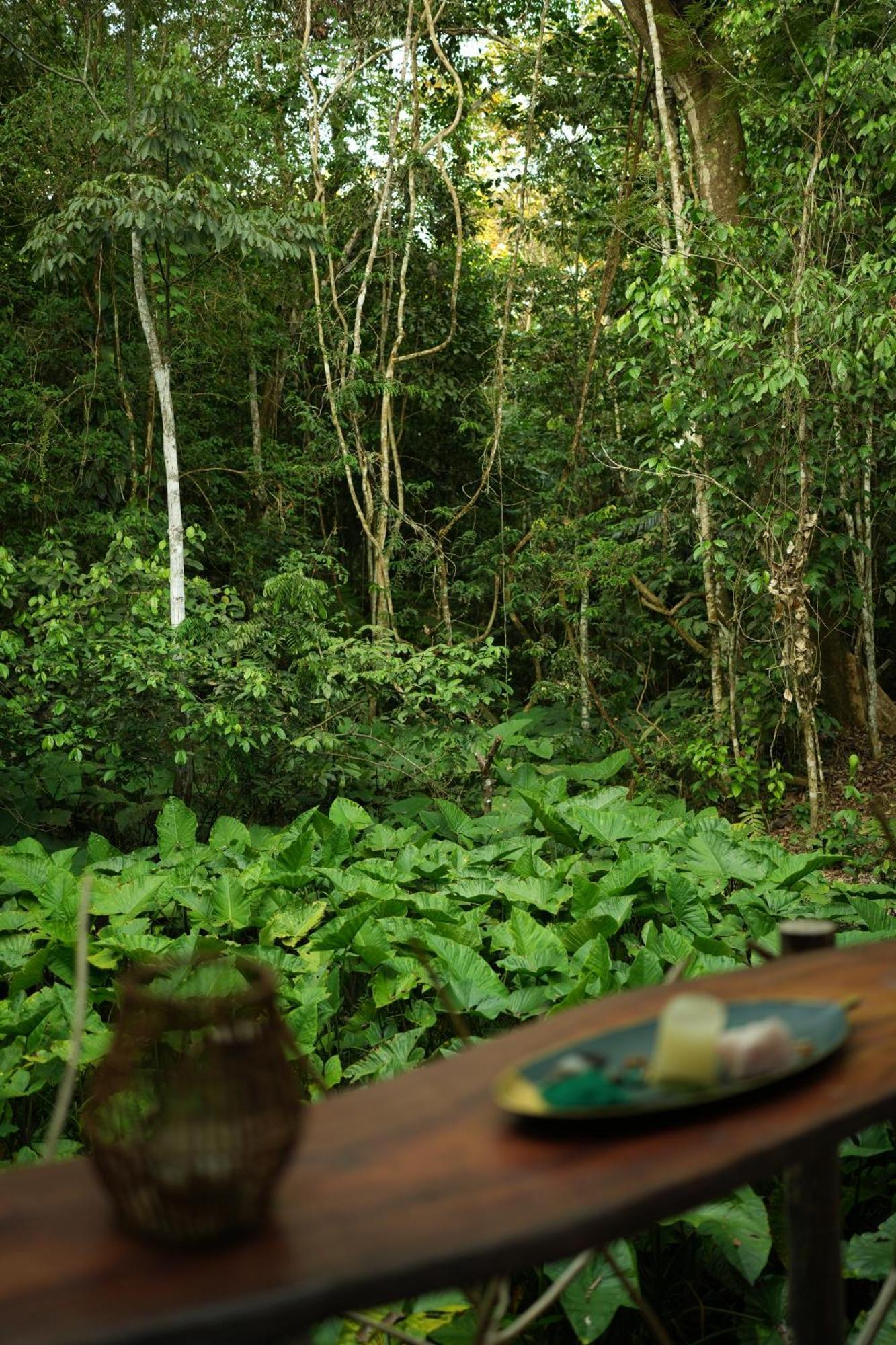 Awaken Amazonian Healing Resort All Inclusive Iquitos Ngoại thất bức ảnh